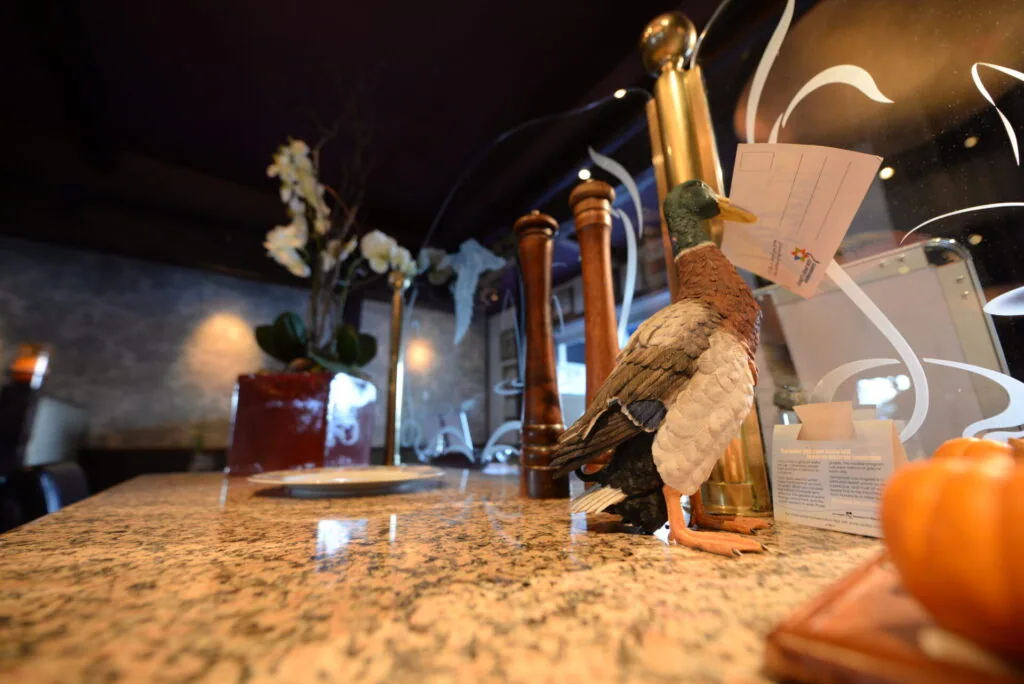 Taxidermied eagle perched on granite countertop with wine bottles and informational placard in background