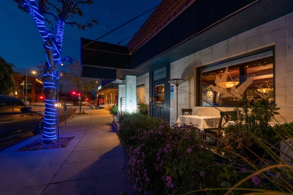 Nighttime storefront with blue-lit tree, illuminated signage, purple flowering plants, and warm interior lighting